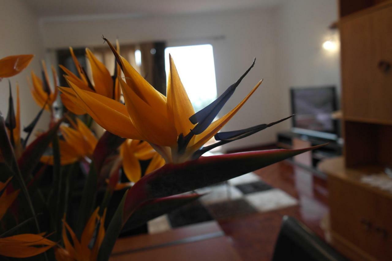 Inmaculado Apartment Funchal  Extérieur photo